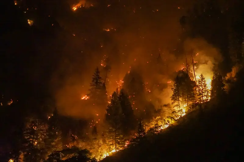 Night view of a steep forested slope in Glenwood Canyon, with orange flames among the conifers and glowing smoke hanging in the dark