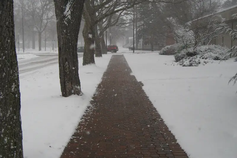 A bare red-brick path running straight and dry between snow-covered lawns and bare trees while snow keeps falling